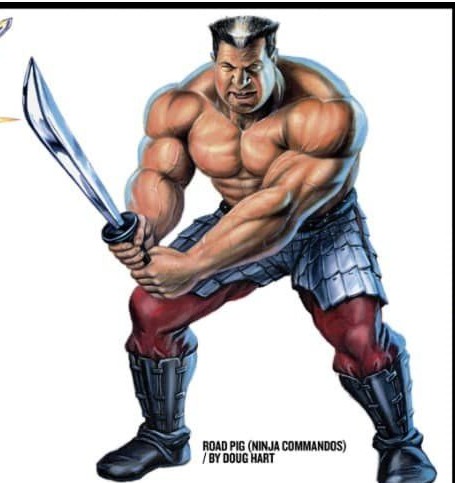 Road-Pig-Ninja-Force.jpg