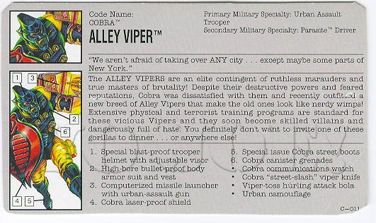 alleyvi1.jpg