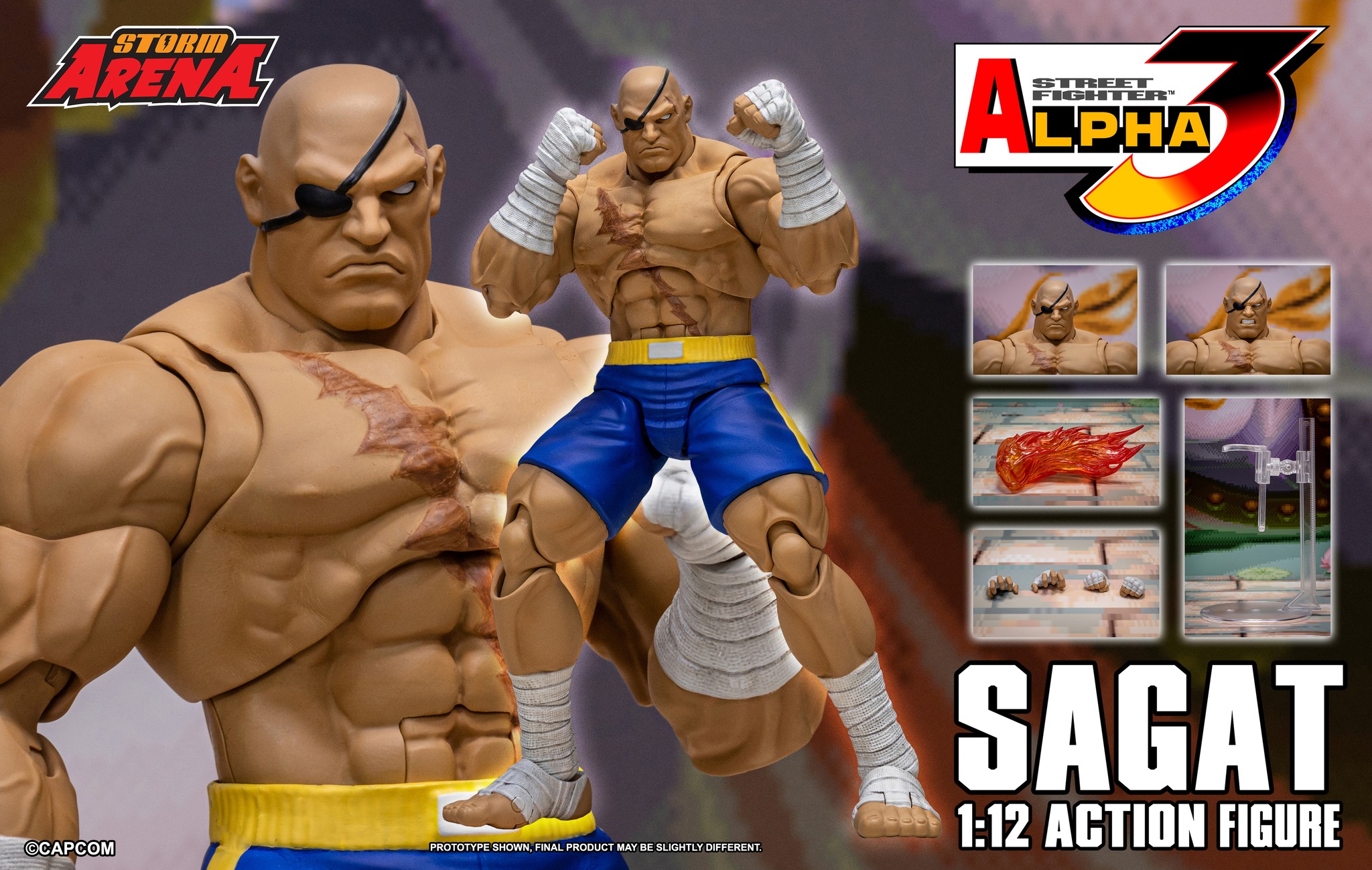 Storm-Arena-SFA3-Sagat-025.jpg