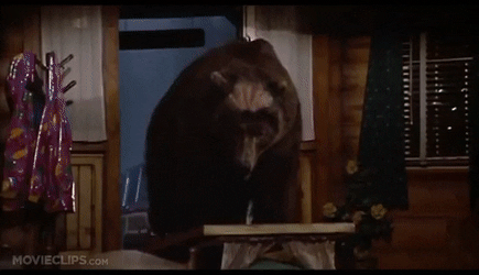 1596418215144-gif.8626