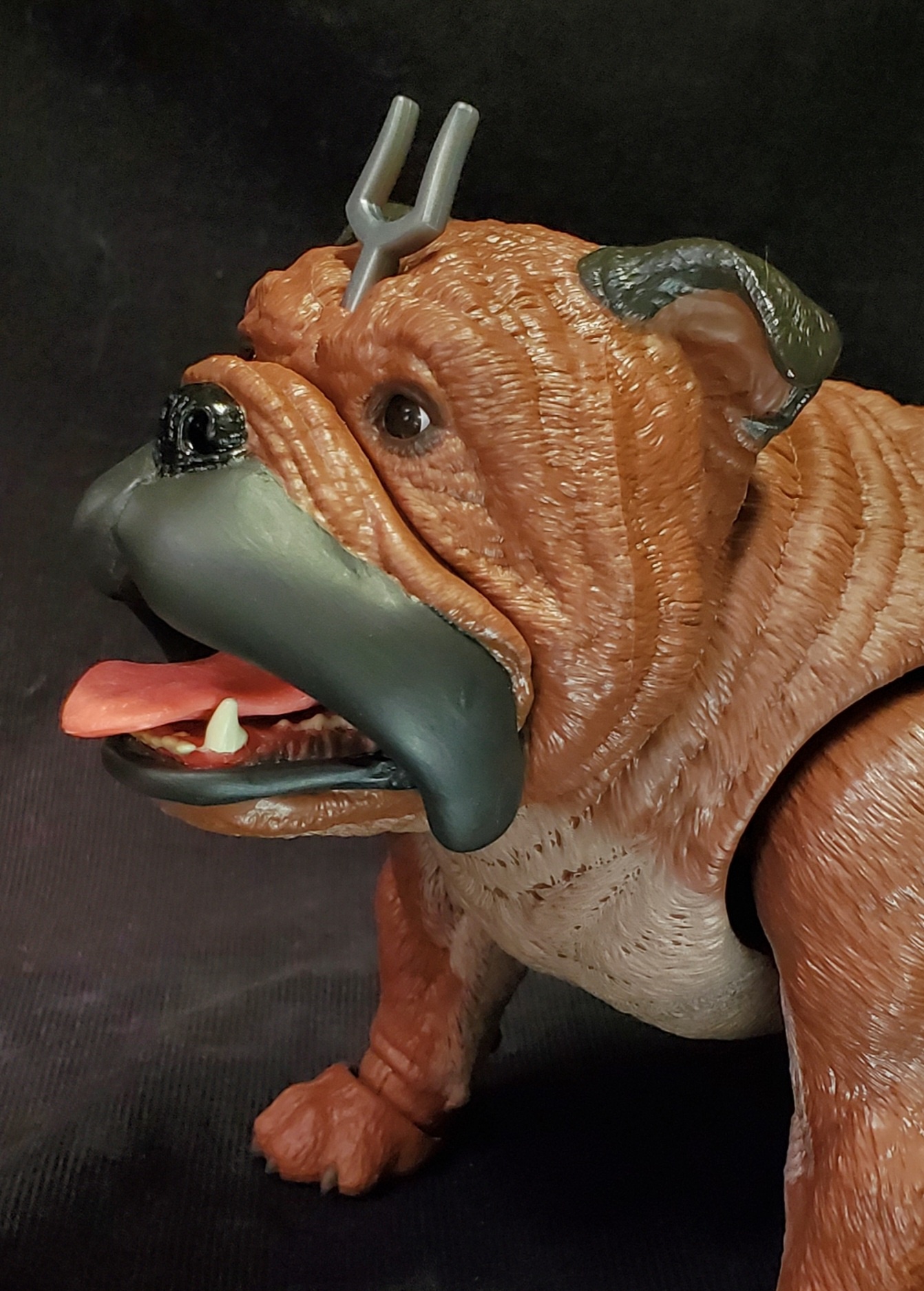 r3NfNnh.jpeg