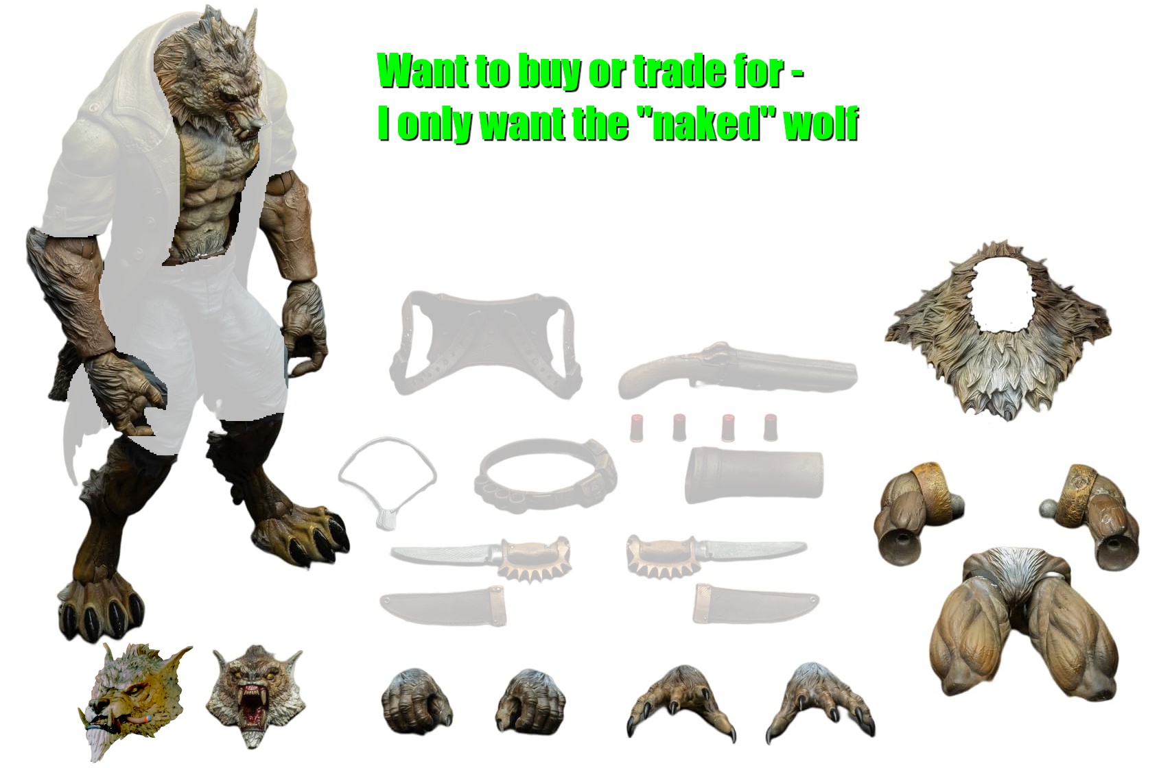 t6t2rwm.jpeg