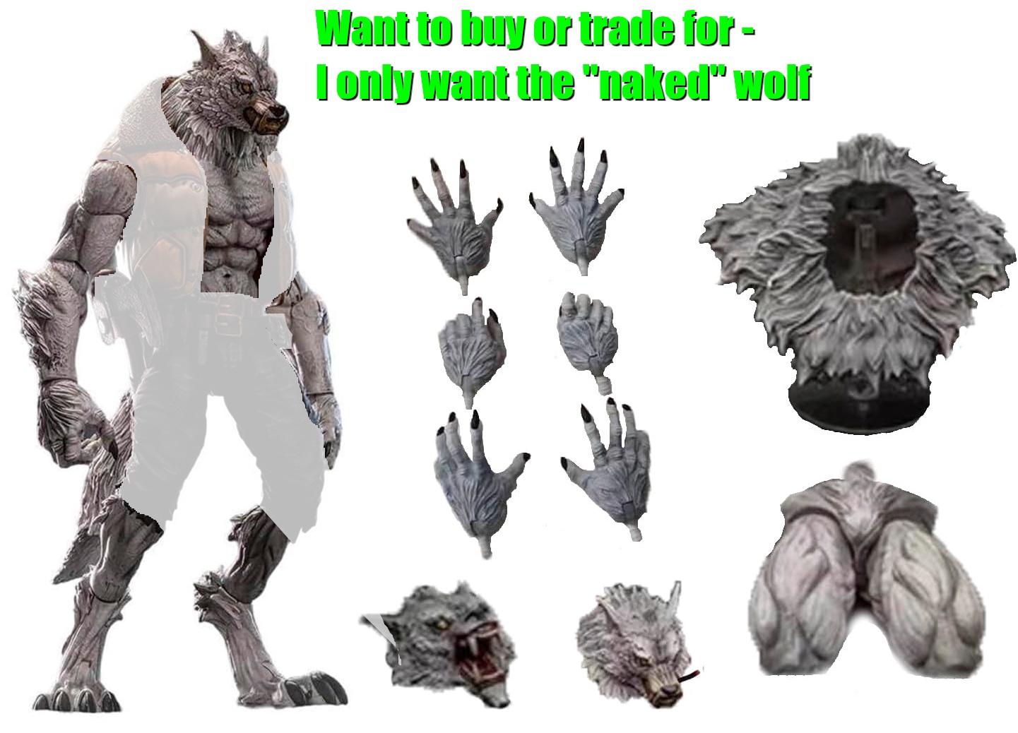 SLrEc2V.jpeg
