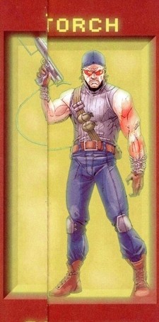 Torch-02.jpg